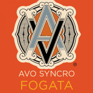 Syncro Nicaragua Fogata