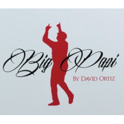 Big Papi by David Ortiz