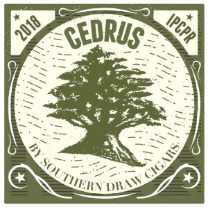 Cedrus