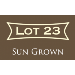 Perdomo - Lot 23 - Sun Grown