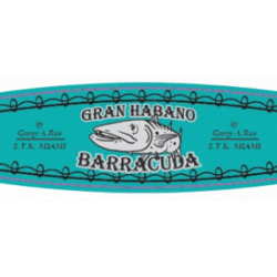 Gran Habano - STK Miami Barracuda