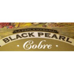 Black Pearl Cobre