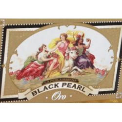 Black Pearl Oro