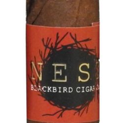 Nest Maduro