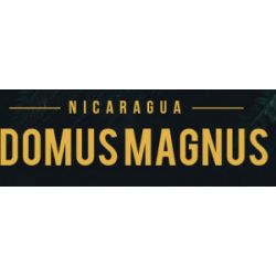 Domus Magnus