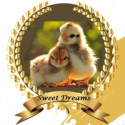 Drunk Chicken - Sweet Dreams