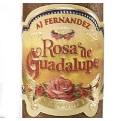 Rosa de Guadalupe