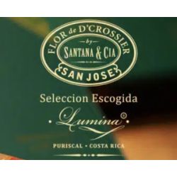 Flor D'Crossier Seleccion Escogida Lumina