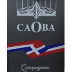 Quisqueyanos