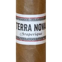 Terra Nova - Araperique