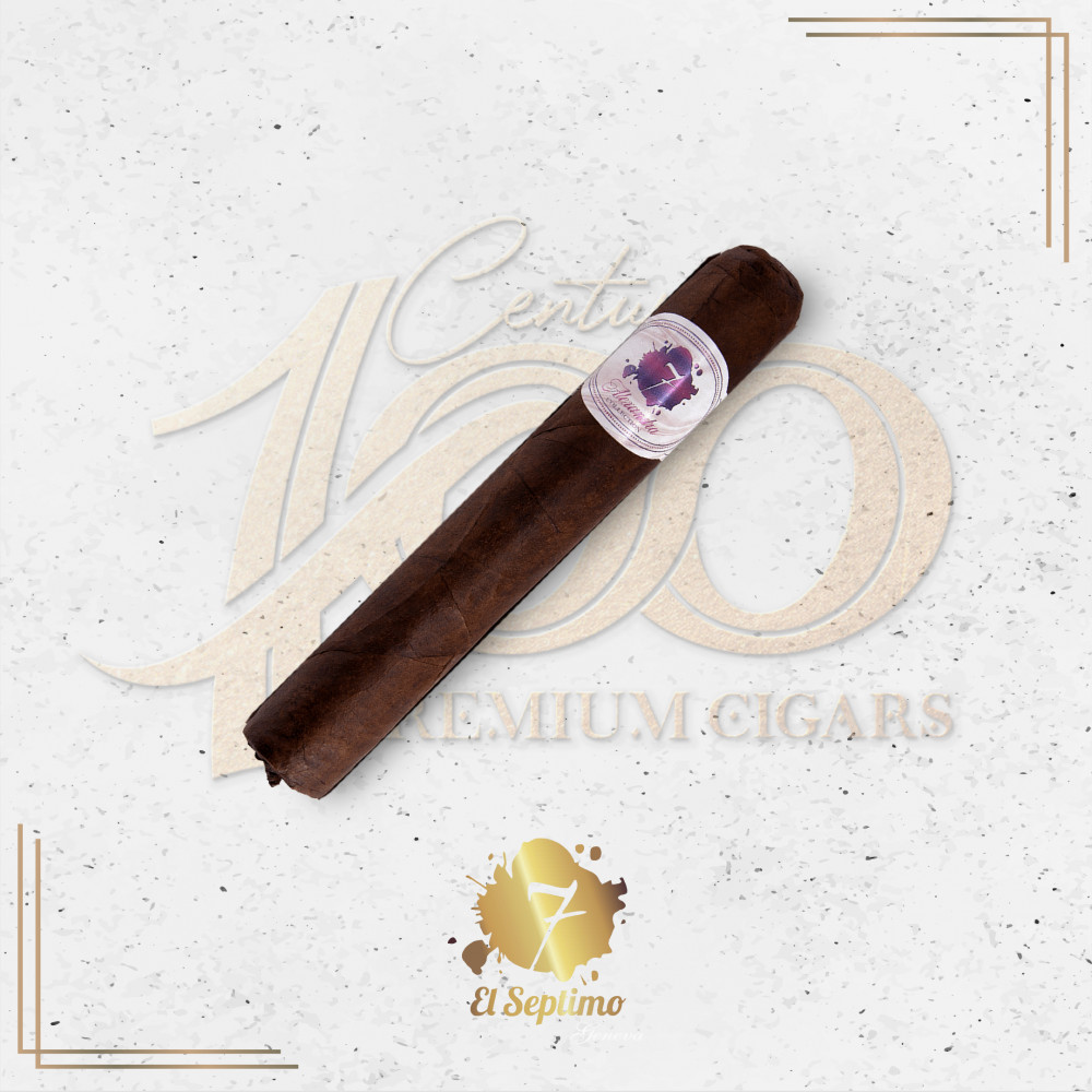 El Septimo - Alexandra Collection - Marilyn with Reviews - Century Premium  Cigars