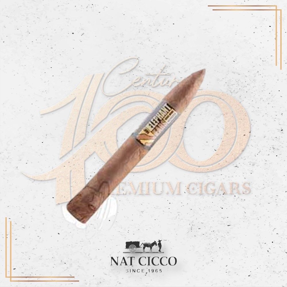Nat Cicco - Elephant Ears - Baby