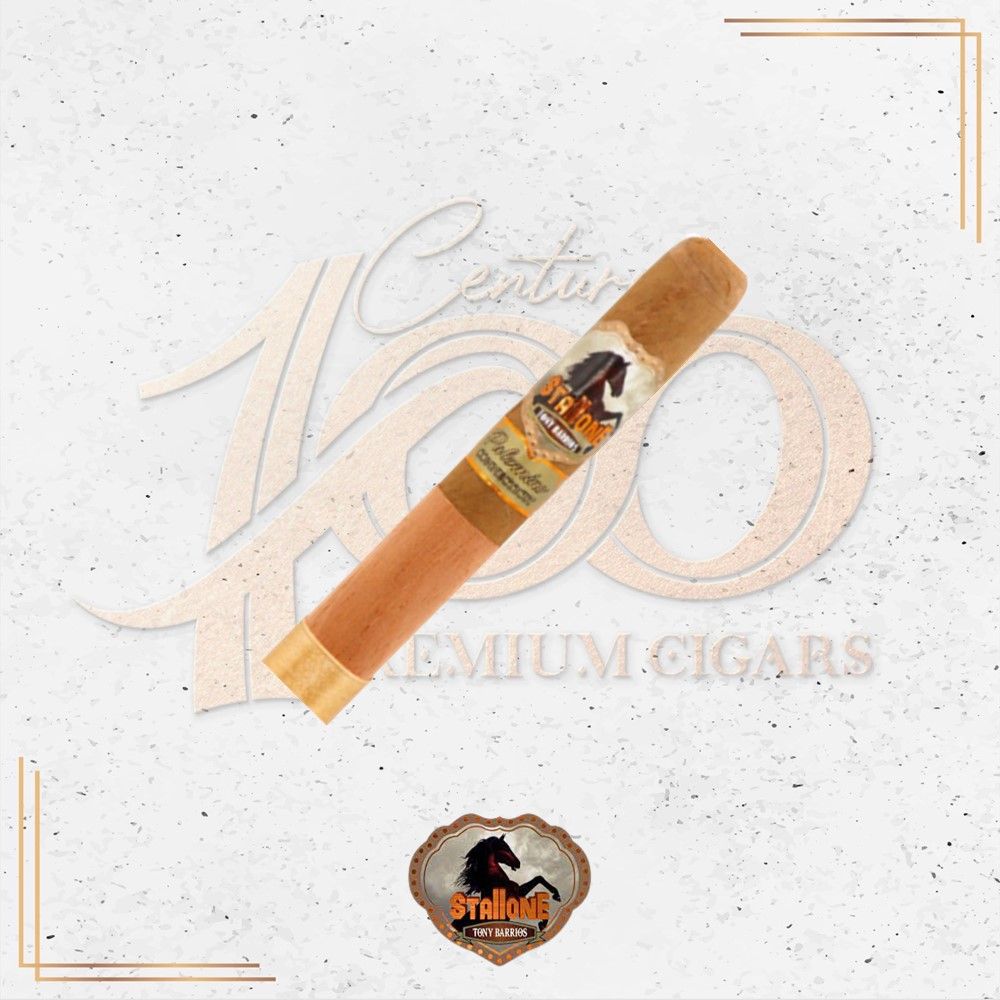 Stallone - Cowboy Palomino Connecticut - Robusto