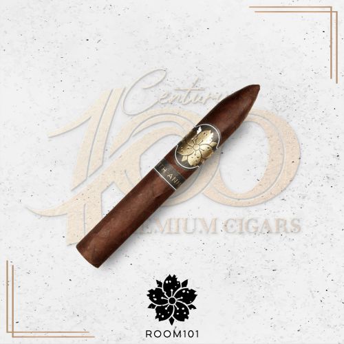 Room 101 - 11th Anniversary - Torpedo