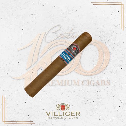 Villiger - La Flor de Ynclan - Toro