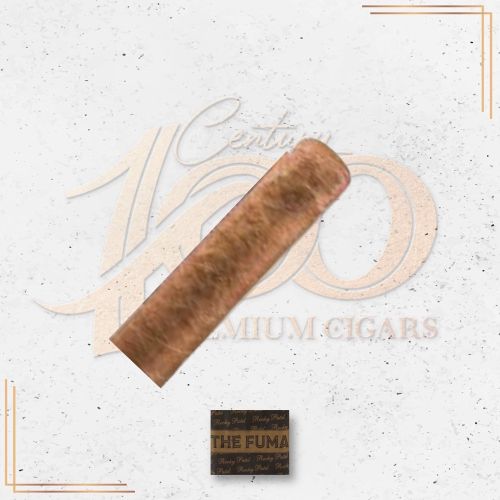 Rocky Patel Fumas - 15th Anniversary - Robusto