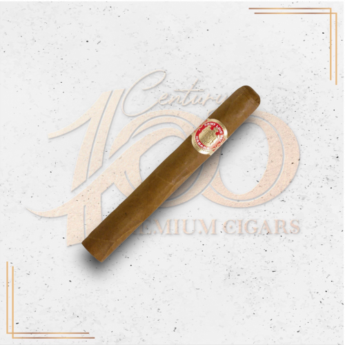 Saint Luis Rey - Serie A